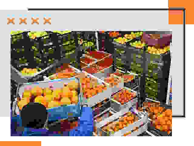 Перевозка скоропортящихся продуктов в Кузнецке